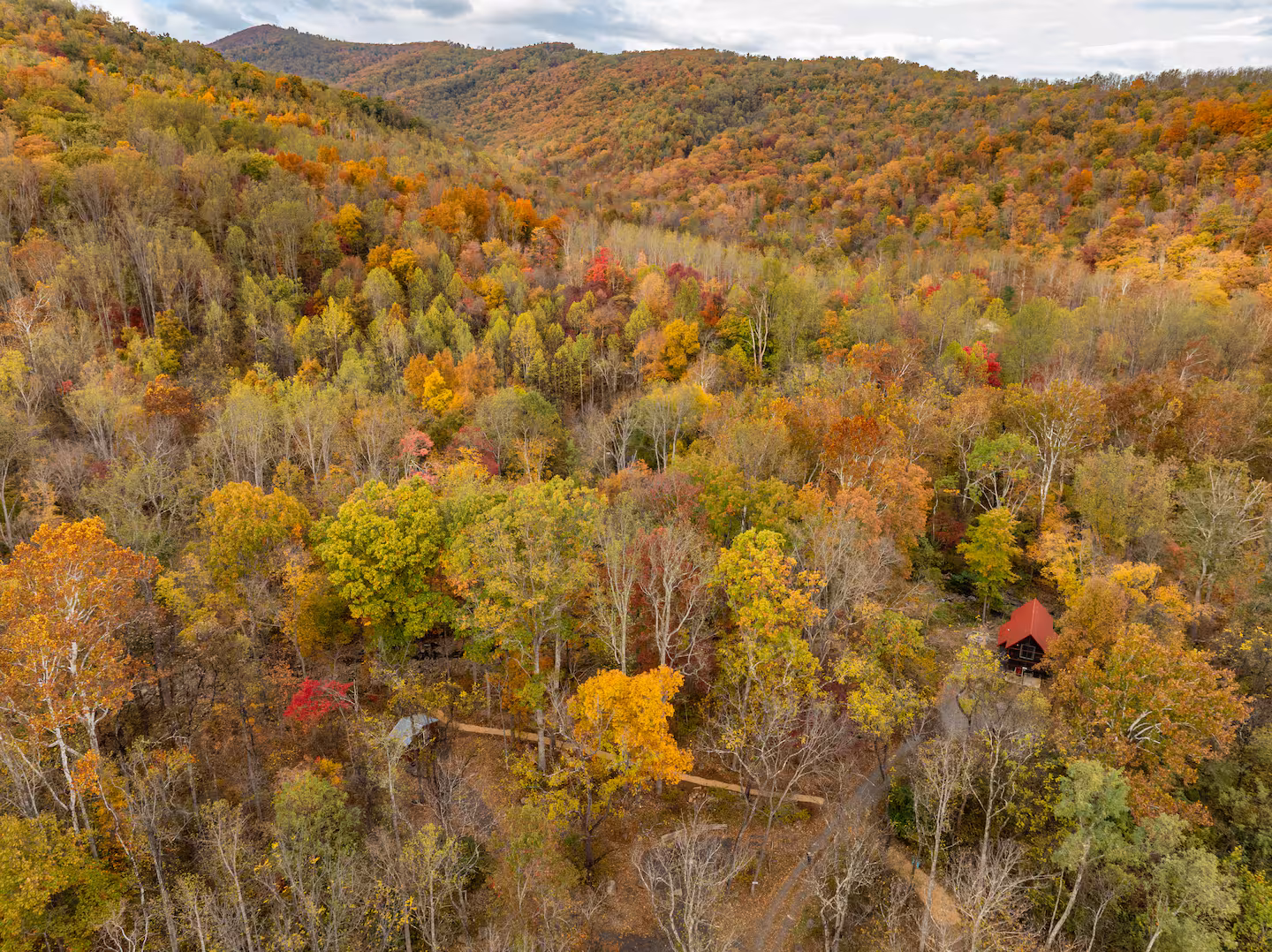 Bear Cabin near Lydia Mountain - thumbnail 10