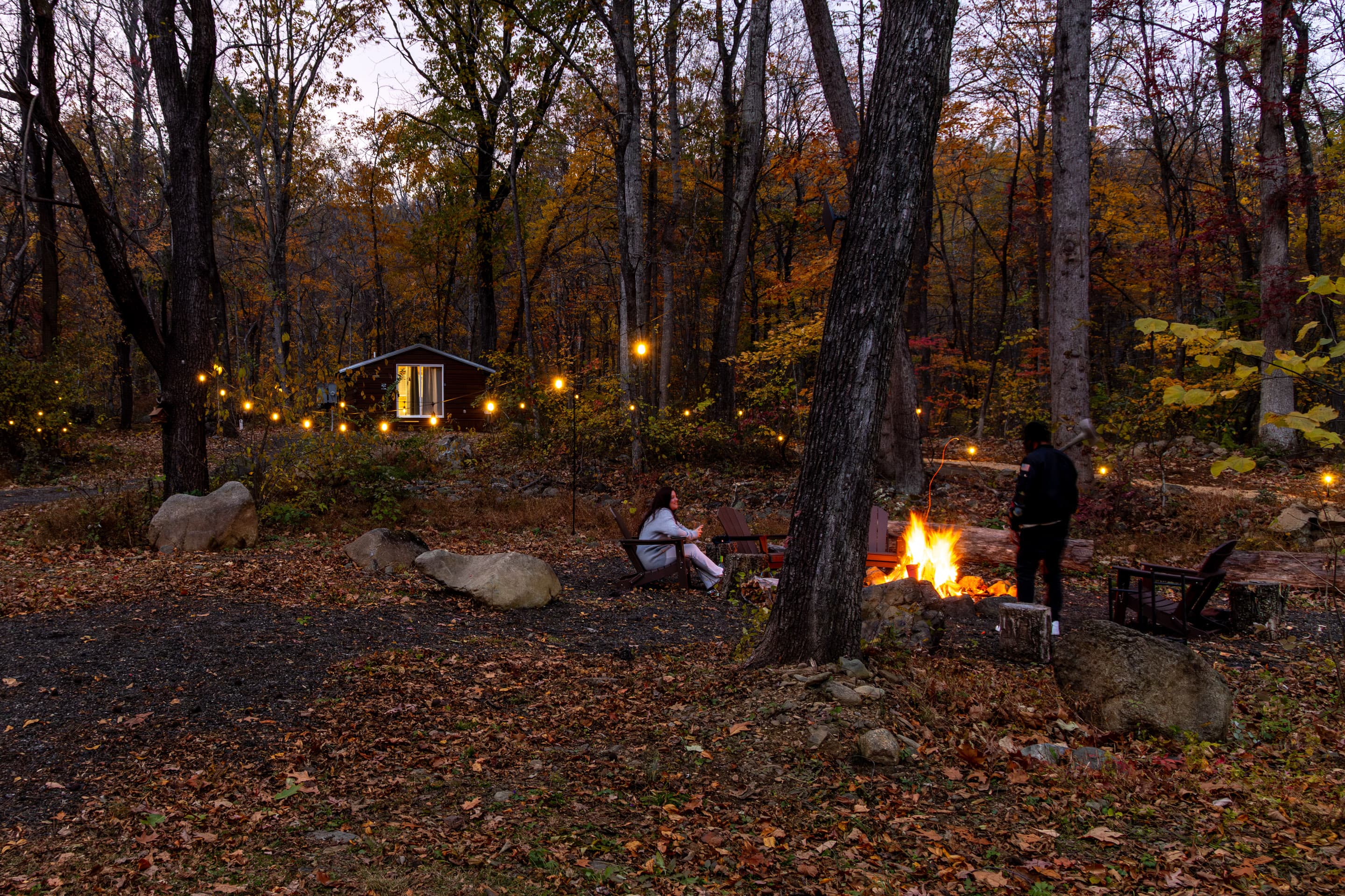 Serenity Creek Village — Entire Property near Lydia Mountain - thumbnail 22