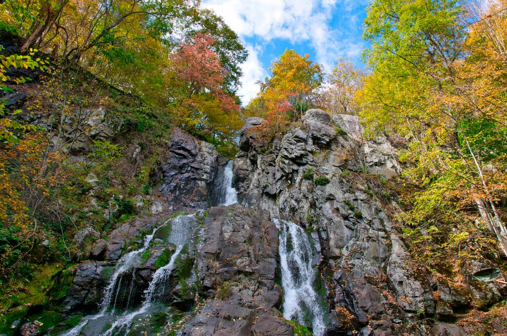 South River Falls Trail